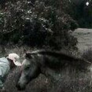 Meet your Posher, Alison